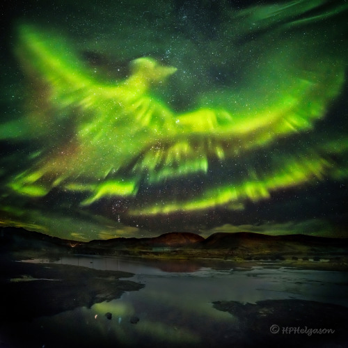 betthearm:goodinthestacks:sixpenceee:A phoenix aurora over Iceland. whaaaaaaaaaaaaaaPhoto by Hallgri