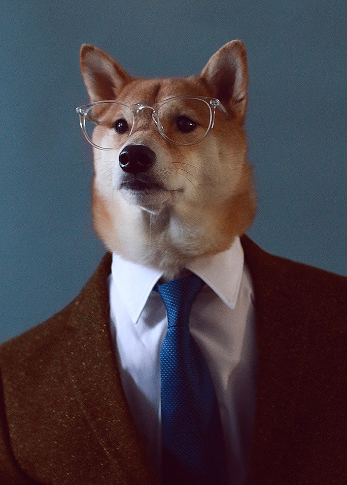 mensweardog:  Menswear Dog sits for an exclusive interview and photoshoot with harpersbazaarHead