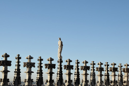 If you have the chance to go to Milan one day, don’t forget to climb on its Duomo (Cathedral) and li