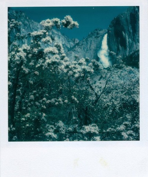 vjeranski: Ansel AdamsYosemite Falls , 1979