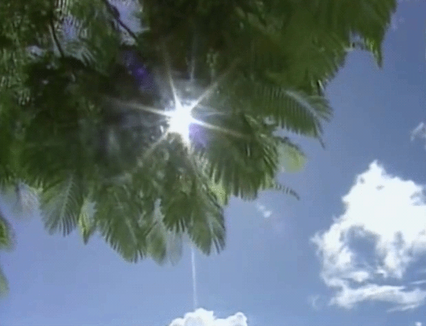 Featured image of post The Best 26 Sun Glare Gif