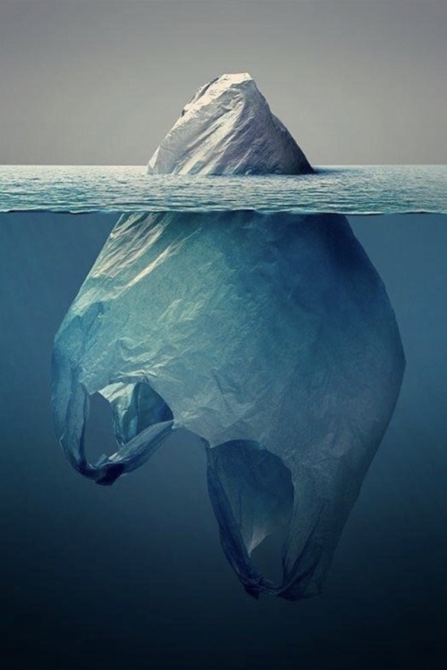 3leapfrogs20: saddayfordemocracy: “Iceberg Plástico” by Jorge Gamboa, ‘18 billion pounds of plasti