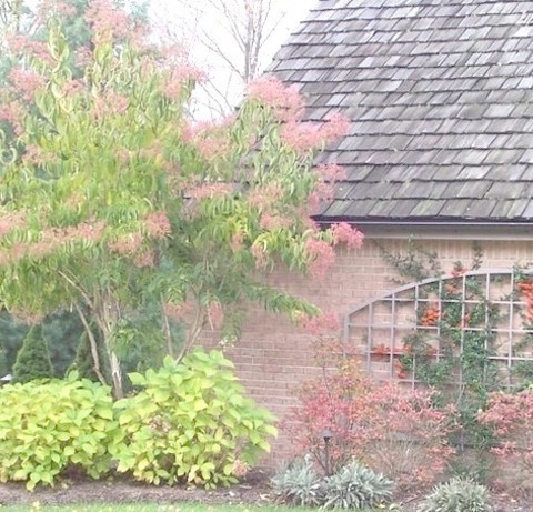 Cleveland Vertical Garden LandscapeIdeas For The Fall Landscaping Of A Sizable Traditional Shade Front