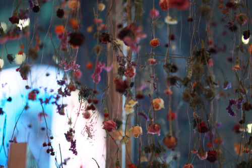 Sex red-lipstick:Rebecca Louise Law (British, pictures