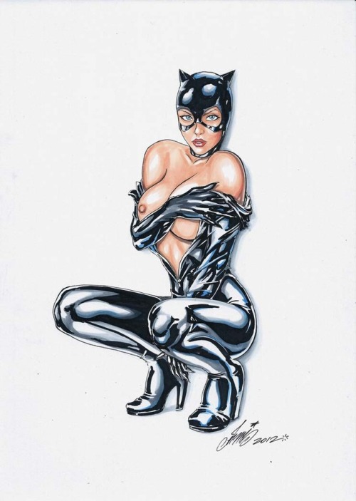  Sexy Catwoman by HM1art  