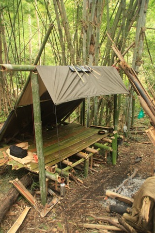 purebushcraft:  ¥
