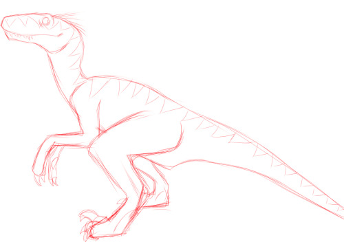 So this is kinda personal to talk about but I guess I’ll do it here anyway. I have a “quasi-oc” for the Jurassic Park film universe that’s very close to my heart named Clarence. I say ‘quasi’ because a velociraptor