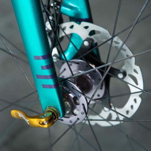 pedalitout:  those colors. @spectrumpowderworks #chrisking #enve by caletticycles ift.tt/1PJF