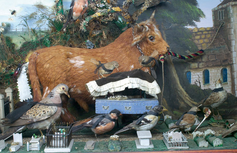 Walter Potter (2 July 1835 – 21 May 1918) was an English taxidermist noted for