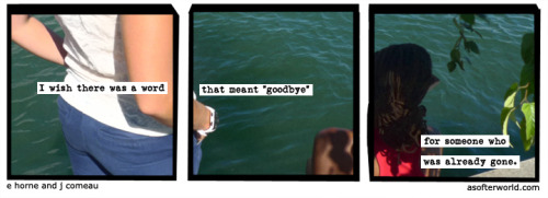 softerworld:  A Softer World: 1000 (I wish I didn’t need to know.) 