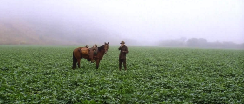 theartofmoviestills:  There Will Be Blood | Paul Thomas Anderson | 2007 