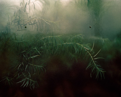 likeafieldmouse:  Hin Chua - After the Fall (2009) Artist’s statement: “For me, these images explore the unpredictable, often disturbing results of the collisions that are gradually and chaotically reshaping the spaces around us. These silent