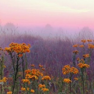 cranberried:  country skies moodboard 