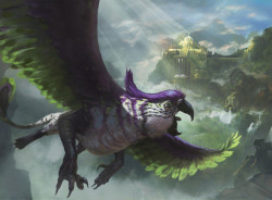 flavoracle: Just thought everyone should know that Griffins on Ixalan have parrot heads instead of eagle heads AND I WHOLEHEARTEDLY APPROVE!!! (Source)  