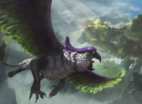 Just thought everyone should know that Griffins on Ixalan have parrot heads instead of eagle heads A