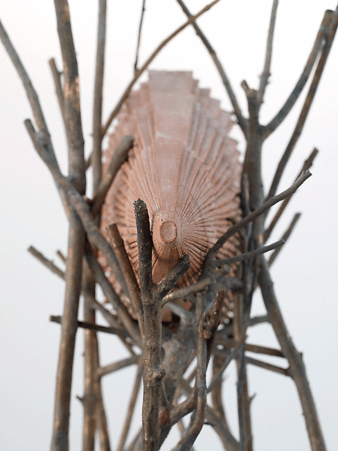 cavetocanvas: Giuseppe Penone, Ombra di Terra, 2000