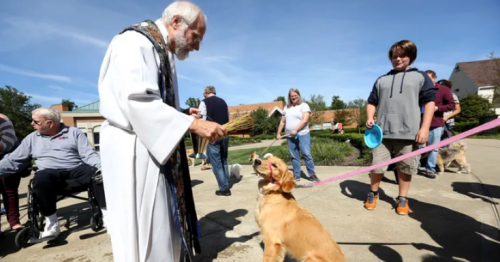 kaelio:reminder that during the Feast of St. Francis of Assisi, Oct 4, Catholics can bring their pet