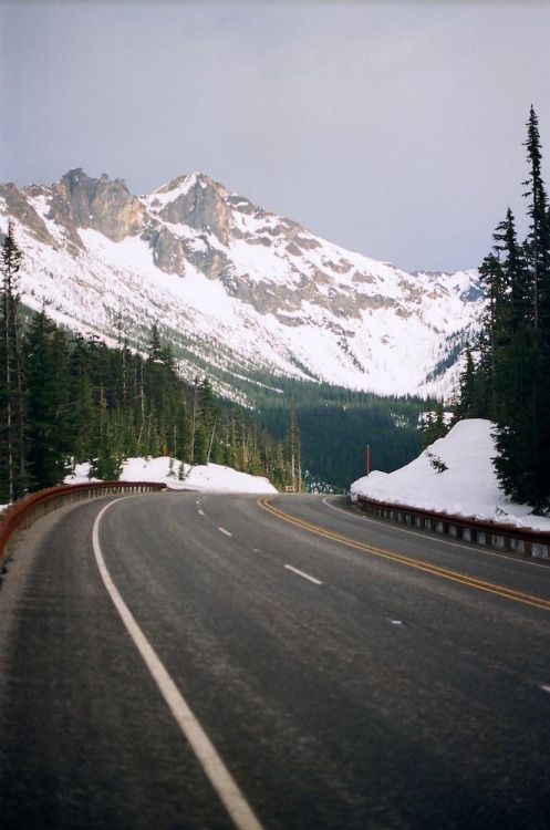 tumblr photo flogrown-southern 0
