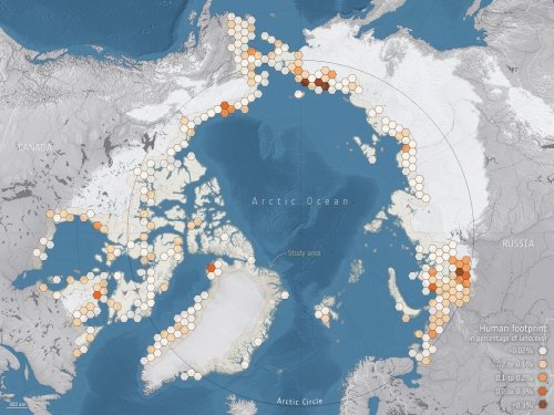 mapsontheweb: Data from Sentinel-1 and -2, along with artificial intelligence, have been used to ide