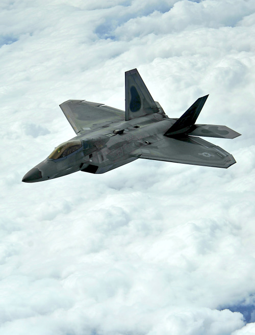 supersonic-youth:  F-22 