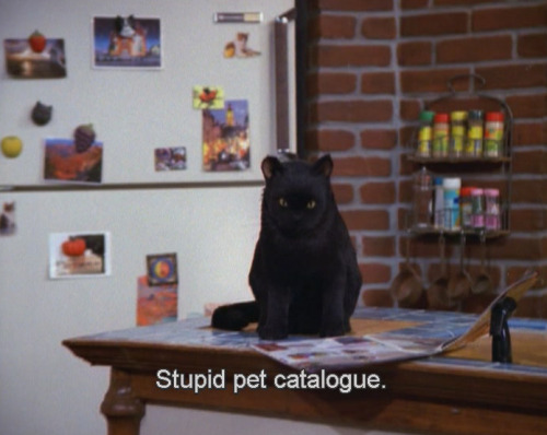 charybdis-sans-fond:salem was very trully representative of the gays. Like i watched my fair share of lgbt movie but this cat held more of my identity and culture than any gay character on tv