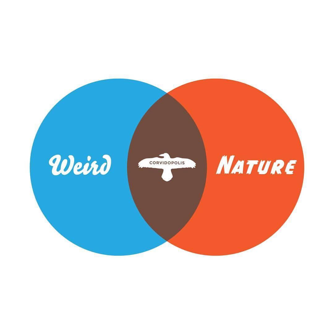 Venndiagram Tumblr Gallery
