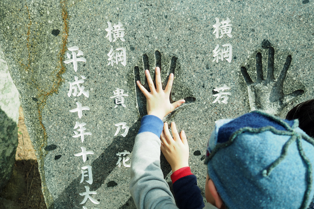 めっちゃ手でっか 貴乃花の手と比べる子供達 わたしも合わせてみたけど しまもよう