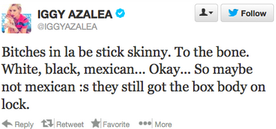 eliaes:A lot of people are still asking me how Iggy Azalea is racist and homophobic so I’m just goin