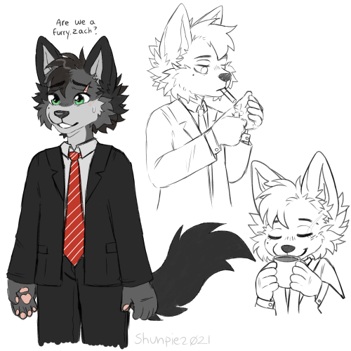 Yep, I Made Myself A York/Zach Furry Oc, Named Him Yorkie