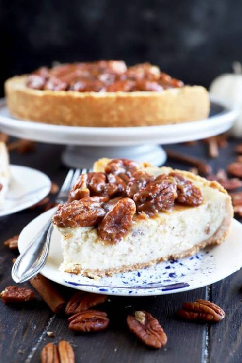 foodffs:  Pecan Pie CheesecakeFollow for recipesIs this how you roll?