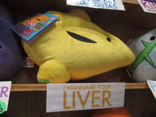 pandera:  pikaontour:  so punny i could cry  this was the first stall that we went to, and it was gr