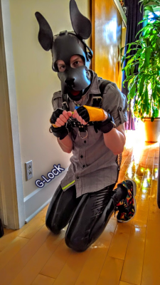 pupnobley:  g6lock:  As some people put/reblog some pictures of me, I decided it was time to open my Tumblr. So let give a try and see where it goes ^^  Those pants look so gooood on you, I want them! &lt;3   One very cute shiny Pup.