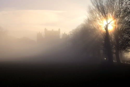 sobforsirius:the most beautiful winter’s morning // ig: kristinelizabeths