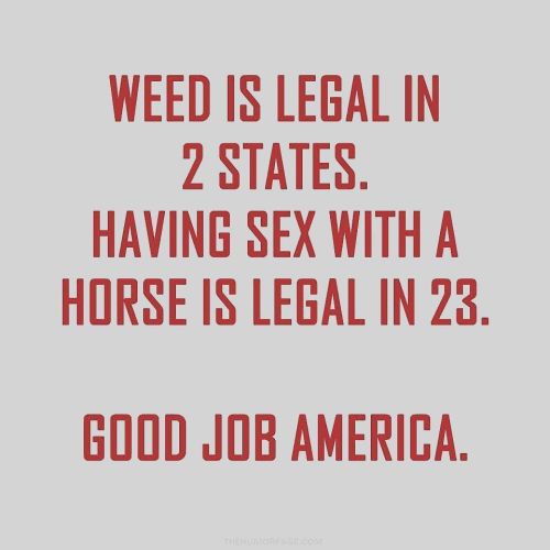 Lol happy 4/20… by realnicoleaniston