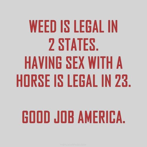 Lol happy 4/20… by realnicoleaniston porn pictures