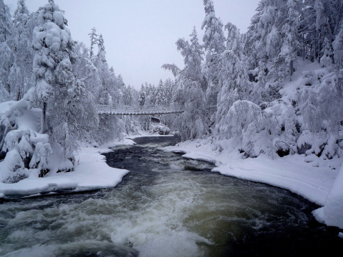 suomi-finland-perkele:Myllykoski, Pieni Karhunkierros Trail, Oulanka National Park - Finland