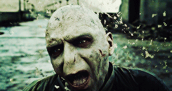sansastarkt:  I know that you are preparing to fight. Your efforts are futile. You
