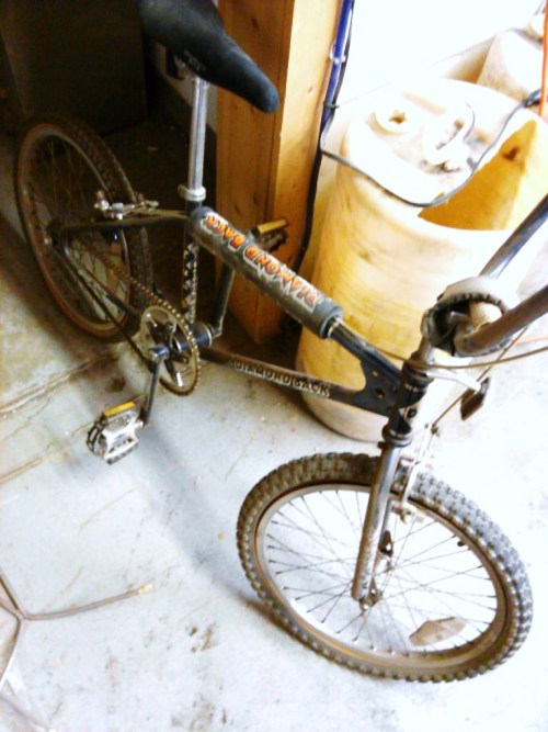 paulclarke42: tonightwedrinktomorrowweride: 1982 Diamondback Harry Leary Turbo Survivor with all o