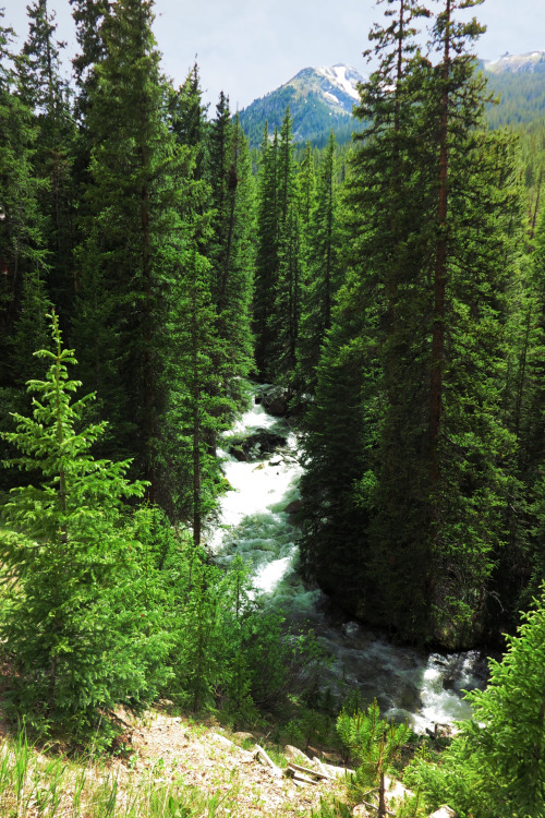 Snake River. Montezuma, Summit County, Colorado. Photo by Amber Maitrejean