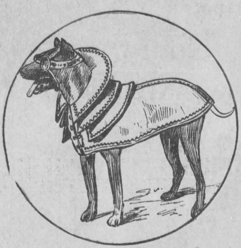 yesterdaysprint: Los Angeles Herald, California, December 20, 1908