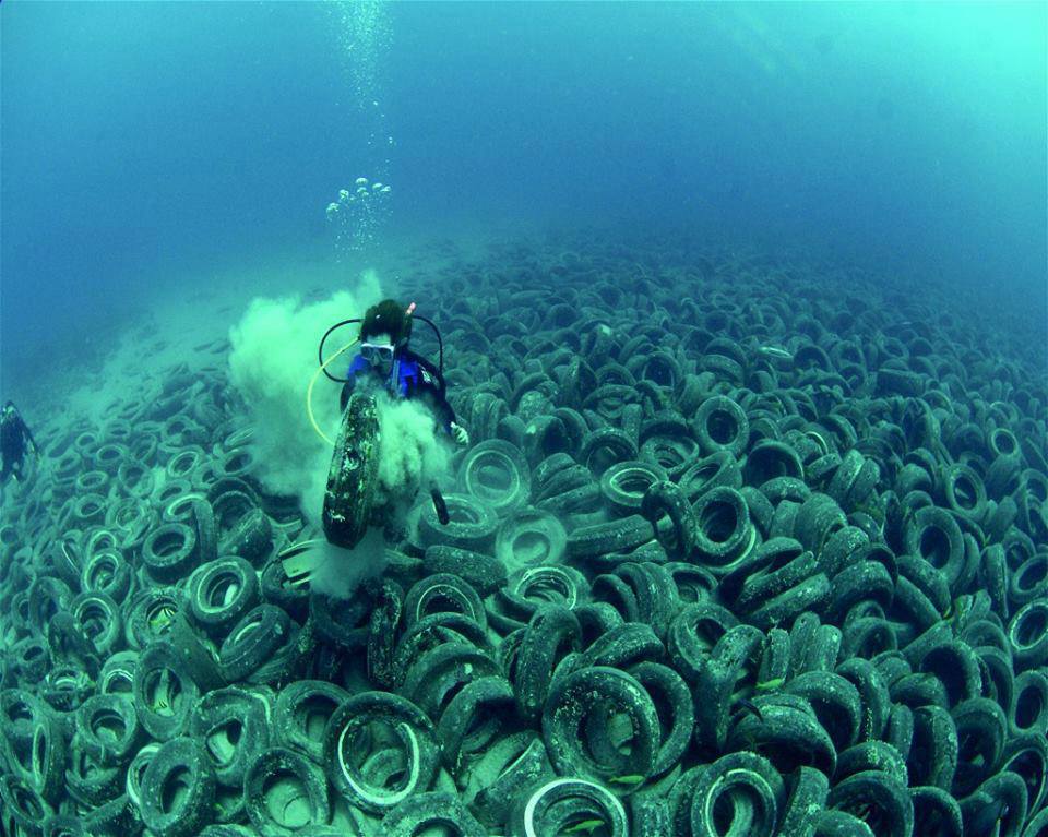 ultrafacts:It is called the Osborne Reef, located off the coast of Fort Lauderdale,