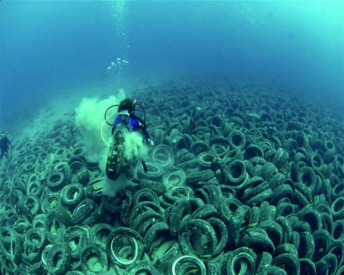 ultrafacts:It is called the Osborne Reef, located off the coast of Fort Lauderdale, Florida. In the 1970s, the reef was the subject of an ambitious expansion project utilizing old and discarded tires. The project ultimately failed, and the “reef”