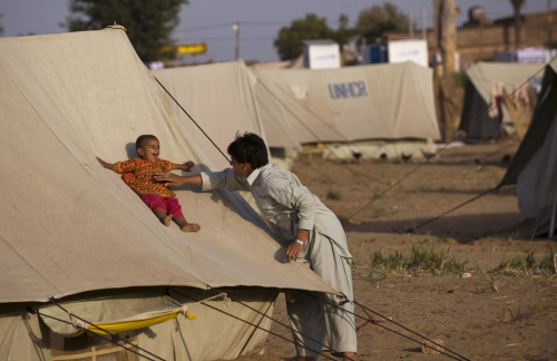 nubbsgalore:  happy father’s day. photos by (click pic) biswaranjan rout, india; anja niedringhaus, afghansitan; zohra bensemra, pakistan; tony karumba, somalia; navesh chitrakar, nepal; mohammadreza momeni in iran; pedro ugart, afghan refugee camp