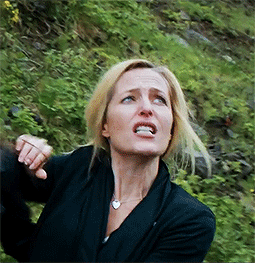 stellxgibson:  urflirtytoday2012:  Reblog with a Gillian gif you think was her reaction