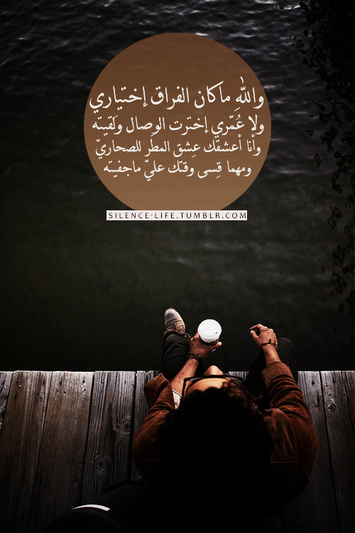 صمت الحياة