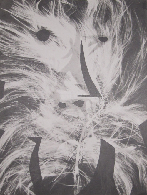 les-sources-du-nil:  André Villers & Pablo PicassoDiurnes: Le Garou. Phototype and pochoir, 1962RIP André…