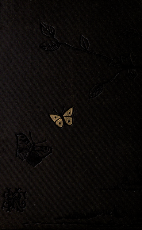 nemfrog:Gold butterfly. Lane and field. 1879. Book cover.Internet Archive