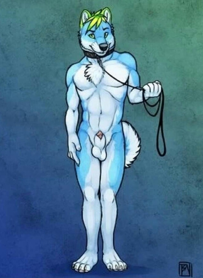 vikthehuskey:  0_0 