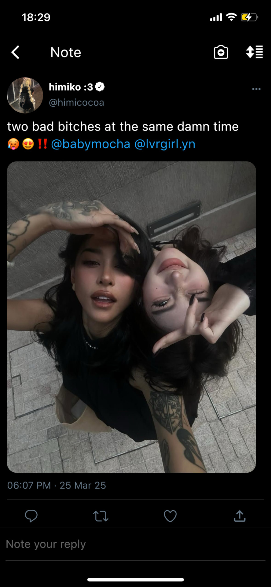 Tumblr media