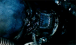 dailyaliens:  Final report of the commercial starship Nostromo, third officer  reporting.